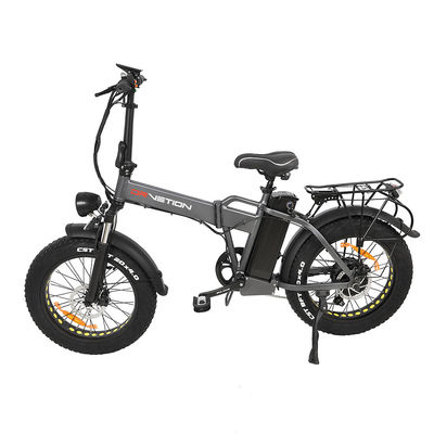 Übung Balance Elektrofahrrad mit Bürstenlosen Motor Profi