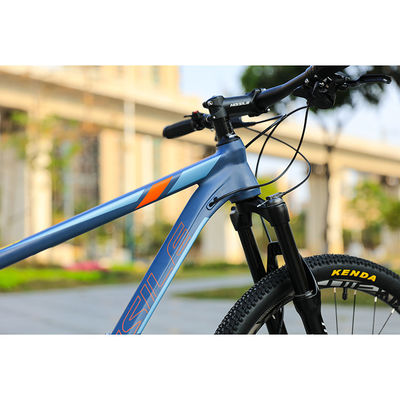 22 Speed Gears Kohlenstoffstahl Cool Sport Fahrrad MTB Männer Rennen 29 Zoll Mountain Bike