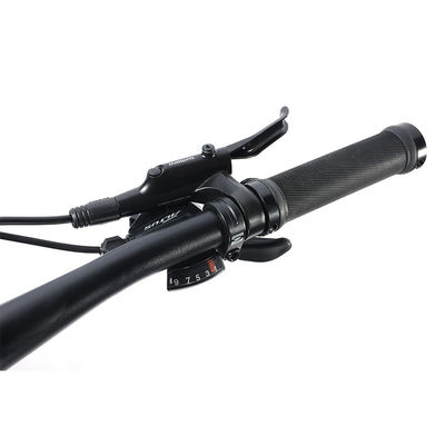 27 Geschwindigkeiten Konstruktionsgeschwindigkeit Erwachsene 700 * 35C Flat Bar Road Bike mit anpassbarer Legierungsgabel