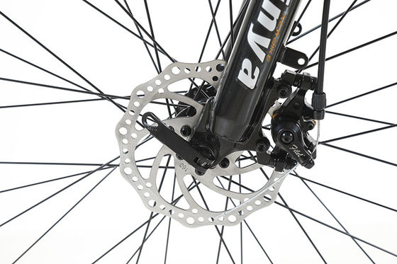 Customized 6 Geschwindigkeiten Lithium Batterie Elektro Mountainbike für Off-Road Abenteuer