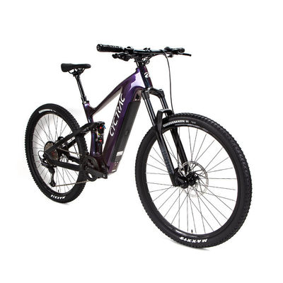 EM10 Kohlenstofffaser Innenkabel Mittelmotor Rücken Shox Elektrische Assistenzrad