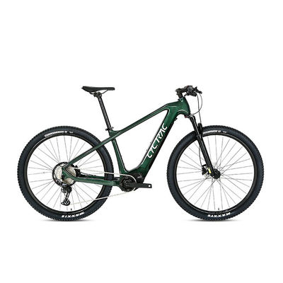 Fernbedienung Elektrofahrrad M510 Mittenantrieb und 48V 13Ah Lithiumbatterie
