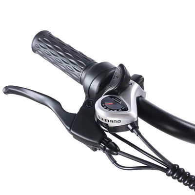 Vorder 24 Hinter 20 Schneedeckel Elektro Dreirad mit SHIMANO Rück 7-Gang und 48V15A Batterie
