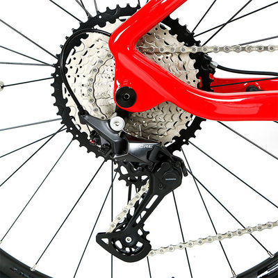 Fernbedienung Elektrofahrrad M510 Mittenantrieb und 48V 13Ah Lithiumbatterie