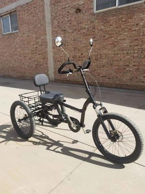 High Carbon Steel Frame 7 Geschwindigkeiten Cargo Trike mit 24 Zoll dicken Aluminium-Legierungsrädern