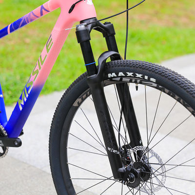 Bringen Sie Ihr Fahren auf die nächste Stufe mit unserem Doppel-Aufhängung 29 Zoll Mountainbike