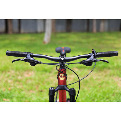 29 Zoll Mountainbike mit 22 Geschwindigkeits-Kohlenstofffaser-Vordergabeln und hydraulischen Scheibenbremsen