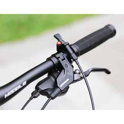 29 Zoll Mountainbike mit 22 Geschwindigkeits-Kohlenstofffaser-Vordergabeln und hydraulischen Scheibenbremsen