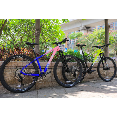 29 Zoll Dual Suspension Mountainbike mit Maxxis Reifen und PROWHEEL PMX 36T Kettenring