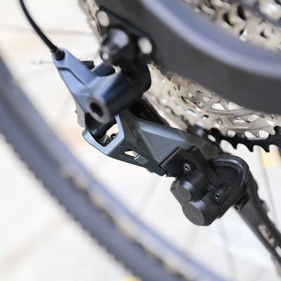 Sunshine 11-50T 12 Geschwindigkeiten HG Kassette Mountainbike 29 Zoll 24 Geschwindigkeiten Fahrrad für Erwachsene