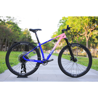 29 Zoll Mountainbike mit Aluminium-Legierungsfelge und Carbon-Rahmen von Original