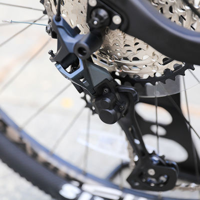 29 Zoll Mountainbike mit Aluminium-Legierungsfelge und Carbon-Rahmen von Original
