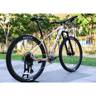 Aluminiumlegierte Gabel 29 Zoll Mountainbike mit Hydraulikscheibenbremse und Vorderaufhängung