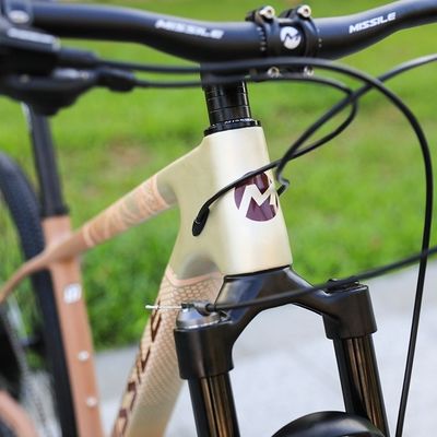 Aluminiumlegierte Gabel 29 Zoll Mountainbike mit Hydraulikscheibenbremse und Vorderaufhängung