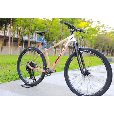 29 Zoll MTB Mountainbike Kohlenstofffaser Festrahmen Mountain Bike Speed Bikes