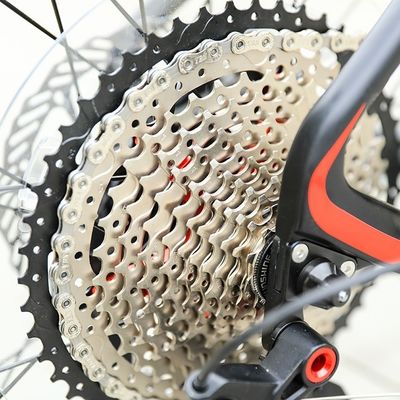 29 Zoll Unterstützung OEM Mountainbike mit YBN S12S Kette 12 Geschwindigkeit MTB 2022 Hard Frame