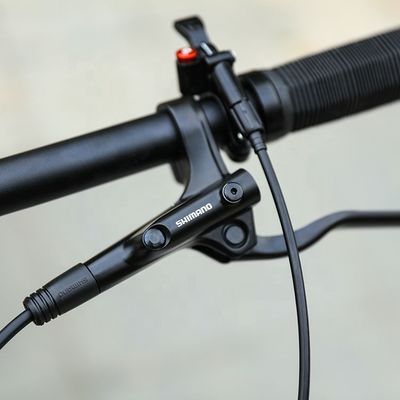 29 Zoll Unterstützung OEM Mountainbike mit YBN S12S Kette 12 Geschwindigkeit MTB 2022 Hard Frame