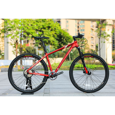 Fernbedienung Ölsperre 22 Speed Männer 29 Zoll Mountainbike mit Scheibenbremse
