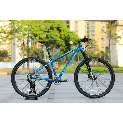 29er Speed Mountain Bike mit Karbonfaserrahmen und Prowheel TEN-M601