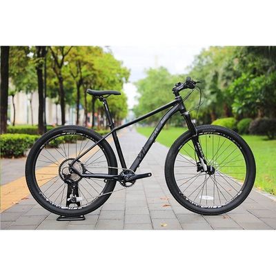 150 kg Lastkapazität 29 Zoll Kohlenstofffaser Mountainbike mit 30 Geschwindigkeitsgetrieben und Design