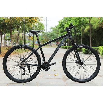 29' Carbon Frame MTB Bike Fahrrad mit gewöhnlichem Pedal und individueller OEM-Anpassung