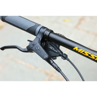 29' Carbon Frame MTB Bike Fahrrad mit gewöhnlichem Pedal und individueller OEM-Anpassung