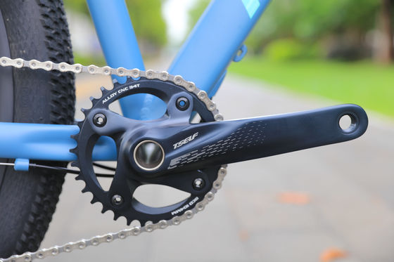 Langlebiges 11-Gang-Ölbrems Mountainbike mit hoher Leistung und gewöhnlichem Pedal
