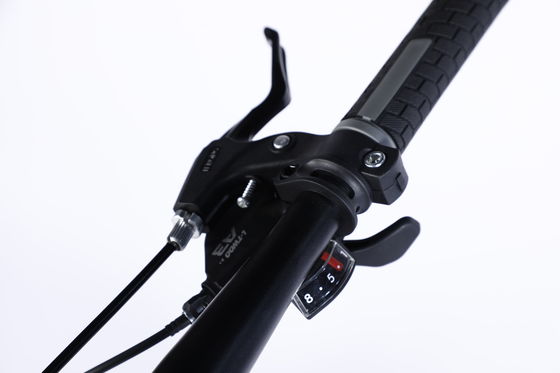 Upland 24 Geschwindigkeiten Stahlrahmen Mountainbike mit Ltwoo A3 Getriebe und verriegelbare Sus Fork