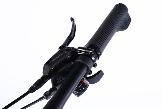Große Mountainbike-Rennen Mountainbike-Geschwindigkeit mit Al Cassette Hub für Dsic Bremse