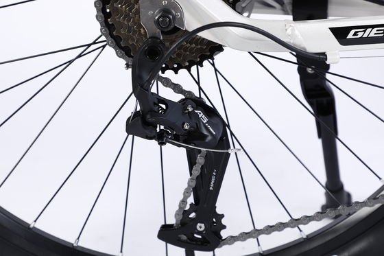 Große Mountainbike-Rennen Mountainbike-Geschwindigkeit mit Al Cassette Hub für Dsic Bremse
