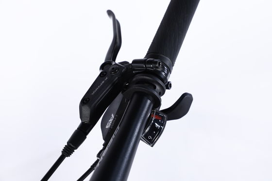 Ungebrochenes Fahrrad Mountainbike mit Sus-Fork Schließbare Gabel und Kassette für Scheibenbremshub