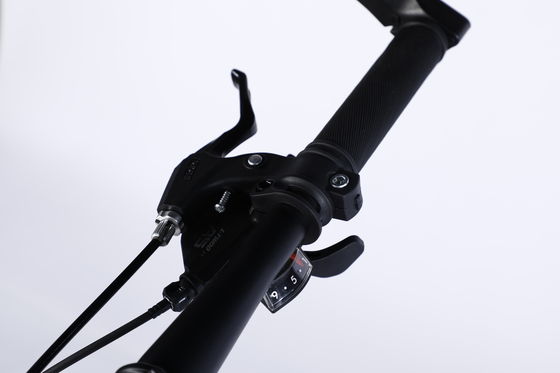 26 Zoll Stahlfelge Ltwoo A11 11s Gang Mountainbike Fahrrad für hohe Nachfrage Markt