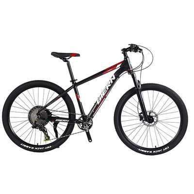 Karbonfaserrahmen Mountainbike mit Ltwoo A12 12s-Gang 26/27.5/29 Zoll