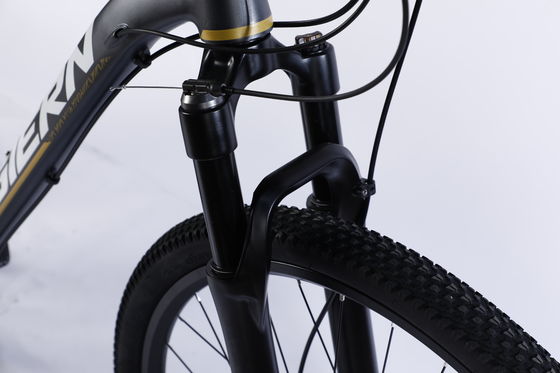 Karbonfaserrahmen Mountainbike mit Ltwoo A12 12s-Gang 26/27.5/29 Zoll