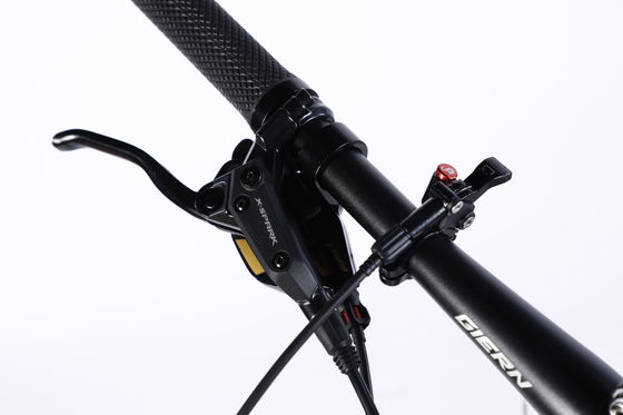 Karbonfaserrahmen Mountainbike mit Ltwoo A12 12s-Gang 26/27.5/29 Zoll