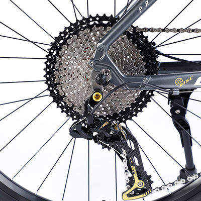 Karbonfaserrahmen Mountainbike mit Ltwoo A12 12s-Gang 26/27.5/29 Zoll