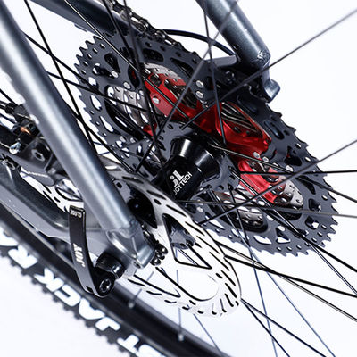 Karbonfaserrahmen Mountainbike mit Ltwoo A12 12s-Gang 26/27.5/29 Zoll