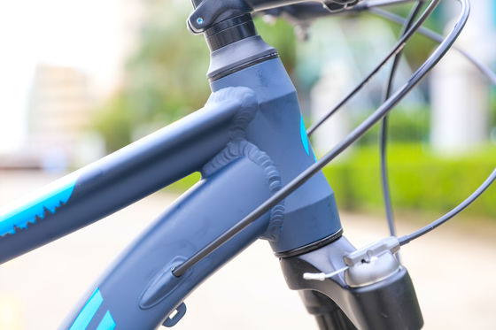 Einstellbares Mountainbike für Erwachsene 13,9kg Fahrradgewicht Vorder- und Rückscheibenbremse