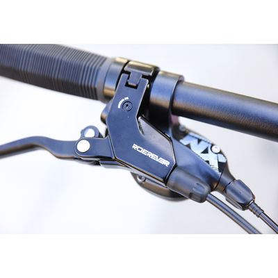Normaler Pedal 29 Zoll Kohlenstofffaser Mountainbike für Mountain Riding Erfahrung