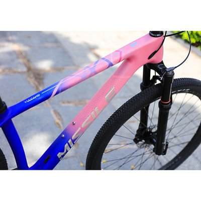 Kohlenstofffaser-Baugewerbe Mountainbike für Erwachsene 29 Zoll Aluminium-Fork