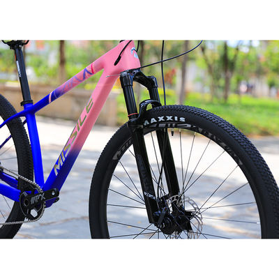 Kohlenstofffaser-Baugewerbe Mountainbike für Erwachsene 29 Zoll Aluminium-Fork