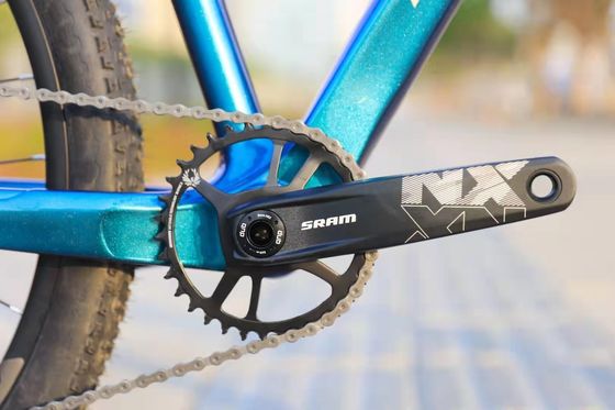Erschwingliches 11-Geschwindigkeits Mountainbike mit Gabel-Aufhängung und Hard Frame Nicht-Hinterdämpfer
