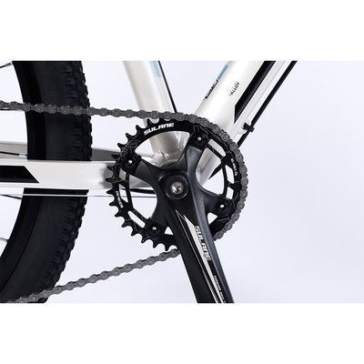 Doppelwand-Rim 29 Zoll Mountainbike für Erwachsene auf der Straße Reiten