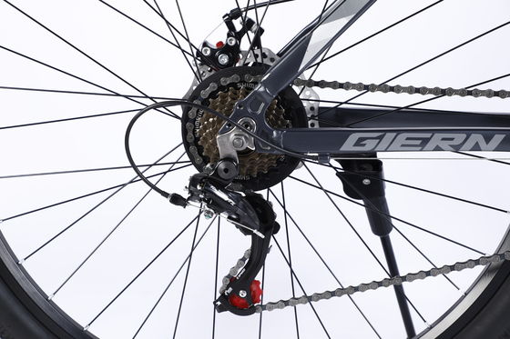Mountainbike Mtb Bike Stahlrahmen und Sus Fokr Al Crown verriegelbare Gabel für Erwachsene