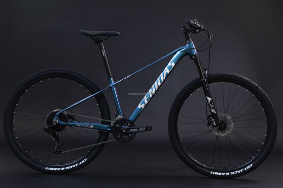 Starrer Rahmen 29 Zoll Mountainbike Aluminiumlegierungsrahmen Mountain Bike3 * 10s RTS