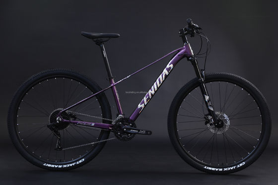 Starrer Rahmen 29 Zoll Mountainbike Aluminiumlegierungsrahmen Mountain Bike3 * 10s RTS