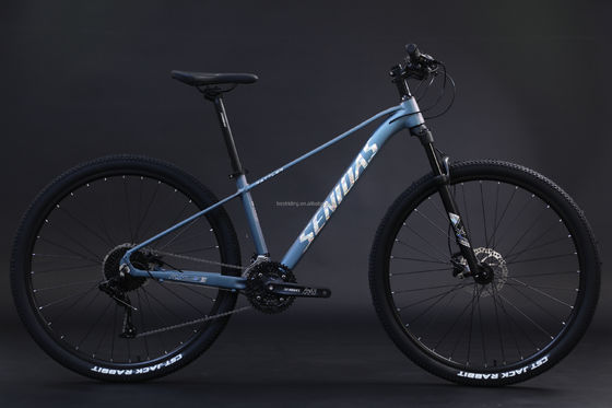 Starrer Rahmen 29 Zoll Mountainbike Aluminiumlegierungsrahmen Mountain Bike3 * 10s RTS