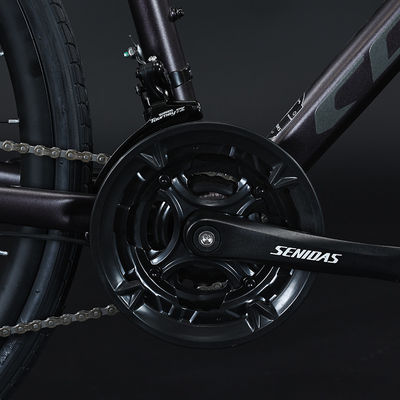 700*35C-Reifen Flat Bar Adventure Bike mit gewöhnlichem Pedal und Aluminiumgabelmaterial