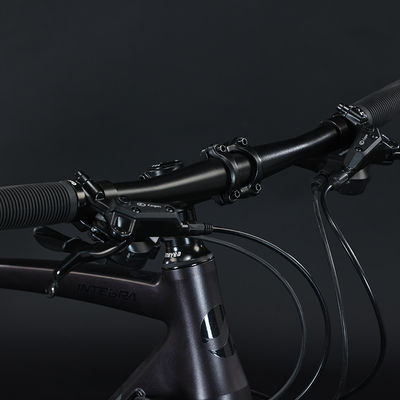 700*35C-Reifen Flat Bar Adventure Bike mit gewöhnlichem Pedal und Aluminiumgabelmaterial