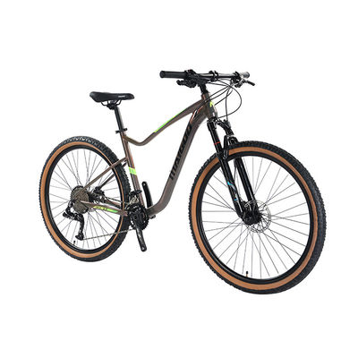 29" Aufhängung Aluminiumlegierungsrahmen Fahrrad 2*11s Leinwandreifen MTB